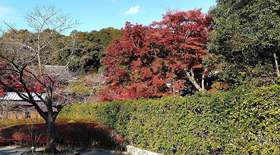 🏯 신슈잔 만간지 이미지 1